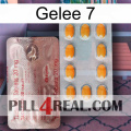 Jelly 7 new13